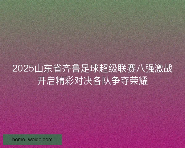 2025山东省齐鲁足球超级联赛八强激战开启精彩对决各队争夺荣耀