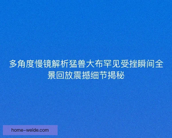多角度慢镜解析猛兽大布罕见受挫瞬间全景回放震撼细节揭秘 多角度慢镜解析猛兽大布罕见受挫瞬间全景回放震撼细节揭秘