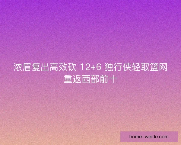 浓眉复出高效砍 12+6 独行侠轻取篮网重返西部前十
